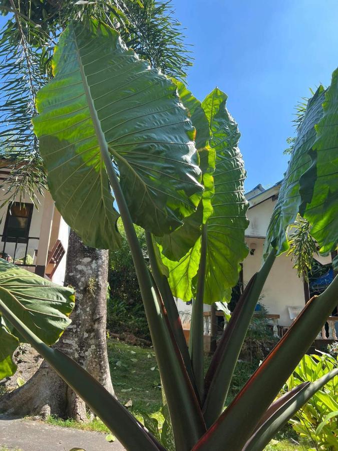 Cher Lonely Beach Resort 象岛 外观 照片